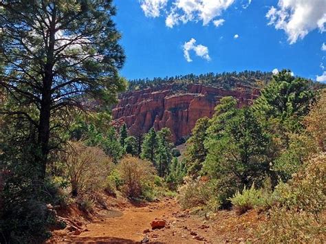 Red Mountain Trail Flagstaff All You Need To Know Before You Go