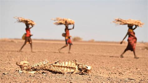 Kenya Says Food Insecure Population To Spike Amid Worsening Drought Cgtn