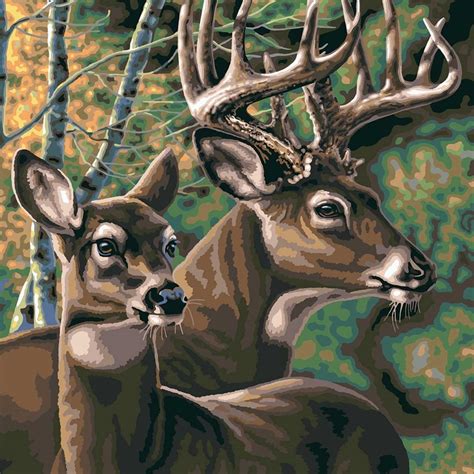 Deer Pair Extra Large Paint By Numbers Craft And Hobbies From Crafty