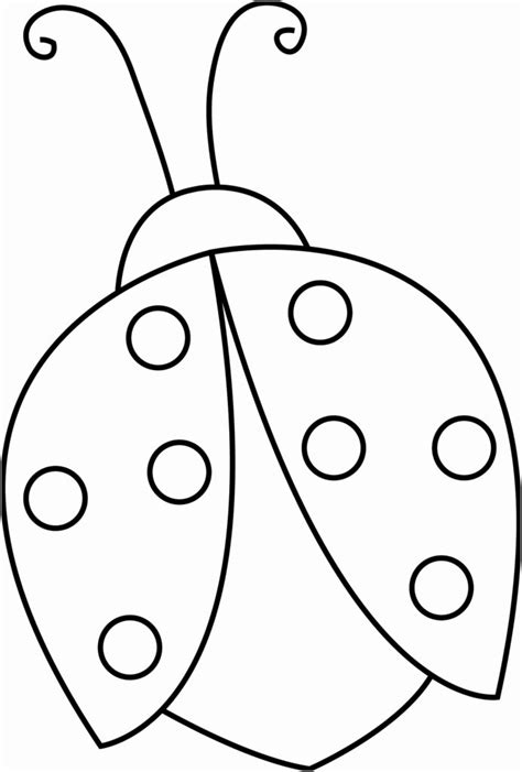 Ladybug Outline Clipart Clip Ladybird Line Beetle Coloring Cliparts