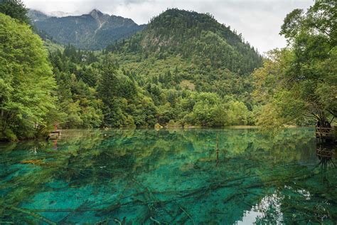 Jiuzhaigou National Park Five Flower Lake One Of The Most Flickr