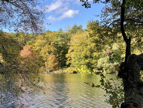 10 Best Trails And Hikes In Mashpee Alltrails