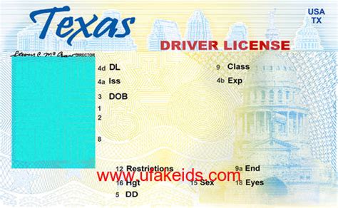 Florida State Driver S License Template