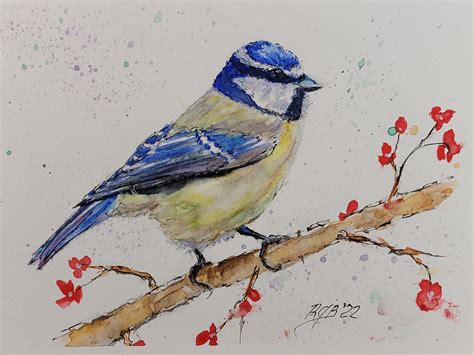 Blue Tit Bird Watercolor Painting Rjb Art Studio