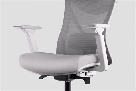 Autonomous ErgoChair Curve - Best Ergonomic Office Chair