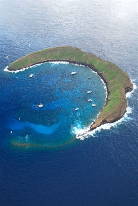 The 10 Best Molokini Crater Tours And Tickets 2021 Maui Viator Maui