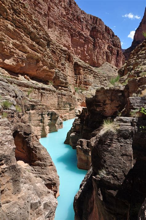 Grand Canyon Mouth Of Havasu Creek 0192 The Confluence Of Flickr