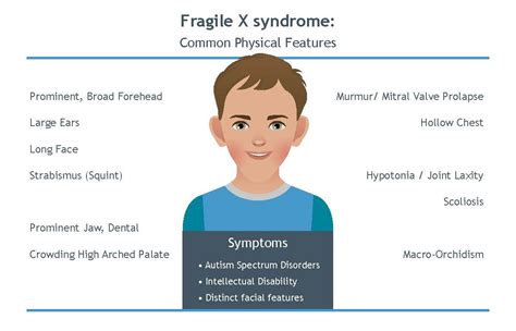 Fragile X Syndrome Causes Treatment And Diagnosis