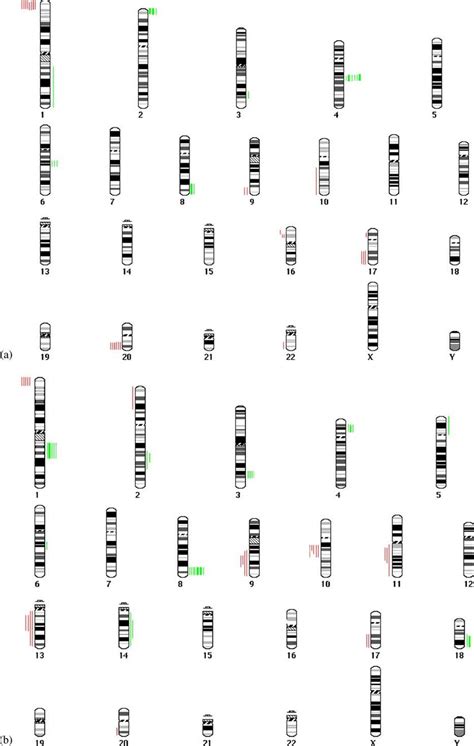 A Cgh Profiles Of Endometrial Hyperplasia Samples Showing Gains