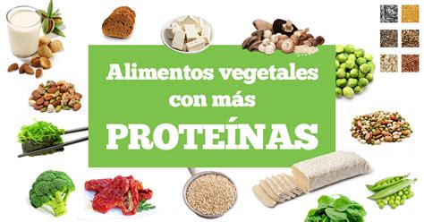 Los alimentos más ricos en proteínas vegetales son: Alimentos vegetales con más proteínas | Delantal de Alces