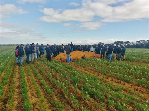 Dryland Farming Tour Nacc Northern Agricultural Catchments Council