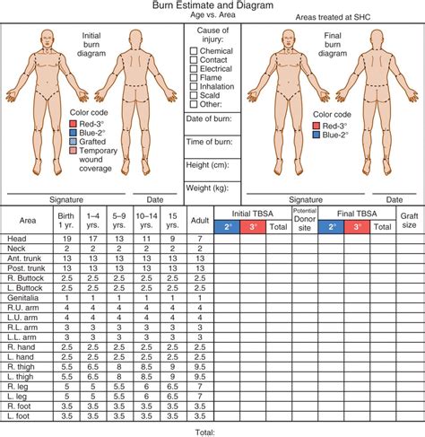 Burn And Inhalation Injury Anesthesia Key