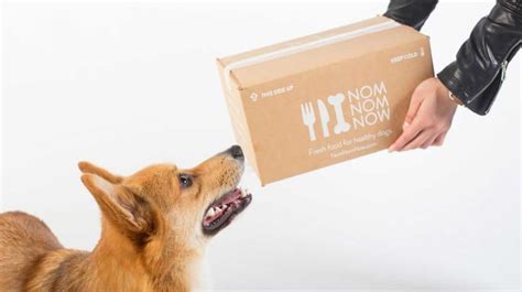 There is no one better equipped than professional nutritionists and veterinarians when it comes to deciding what's best for your dog's diet. 10 Dog Food Delivery Services You Must Try | Petlife