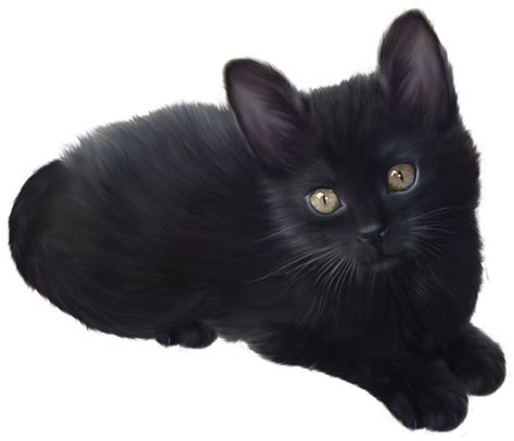 Kitten Png Transparent Images Png All