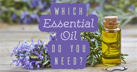 If it does not encounter rocky obstacles underground, it can seep all the way to crude oil comes out of the ground with impurities, from sulfur to sand. Which Essential Oil Do You Need? - Quiz - Quizony.com
