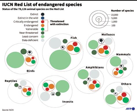 Iucn Adds 31 Species To ‘extinct Category In Its Red List Newspaper