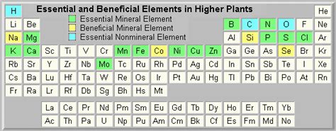 List Of Essential Elements