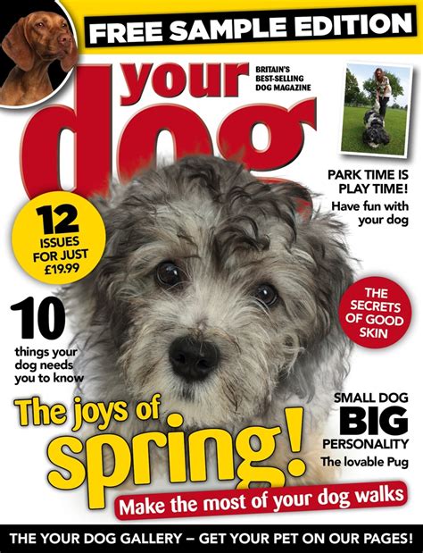 Your Dog Magazine Your Dog Magazine Free Sample Issue Special Issue
