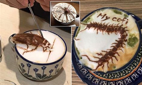 Taiwanese Barista Draws Vivid Cockroach Cappuccino Daily Mail Online