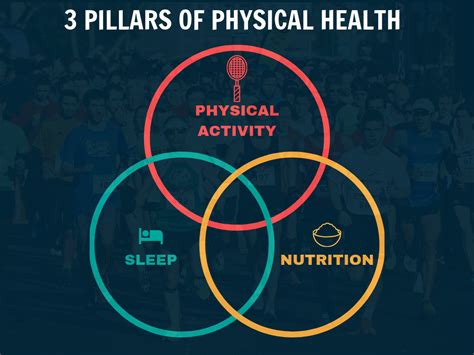 The 3 Pillars Of Physical Health — A Practical Guide By Leon Mao Dpt