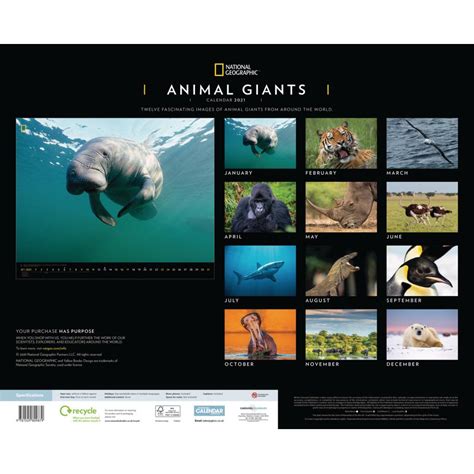 National Geographic Animal Giants Deluxe Calendar 2021