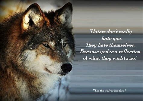 54 best Wolves images on Pinterest | Wolves, Beautiful wolves and Wolf