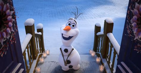 Frozen Man Arrested For Having Sex With Olaf Doll