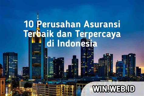 bo terbaik dan terpercaya