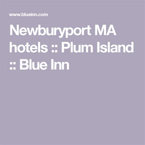 Newburyport Ma Hotels Plum Island Blue Inn Plum Island