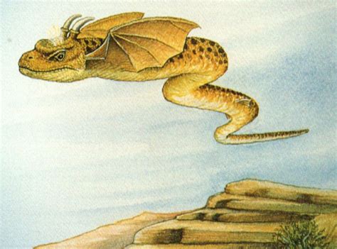 Shukernature Snakes With Wings And Other Strange Things