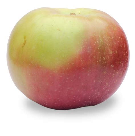 Macintosh Apples Bulk Natural Foods