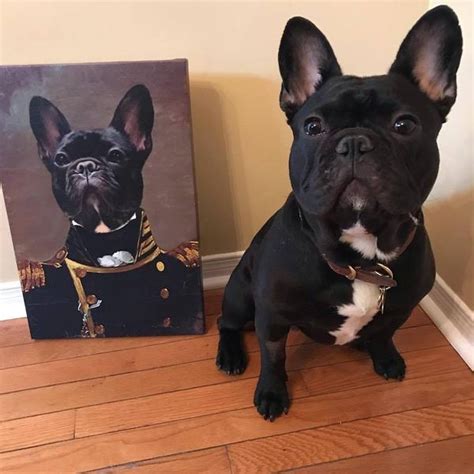 Want to discover art related to cats? The Admiral | Custom Renaissance Pet Canvas | Crown And ...