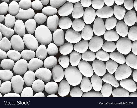 Details 100 White Stone Background Abzlocalmx