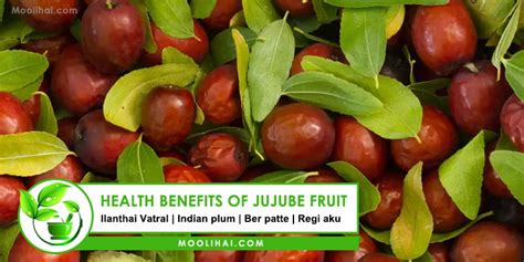 12 Evidence Based Health Benefits Of Jujube Fruit Ber