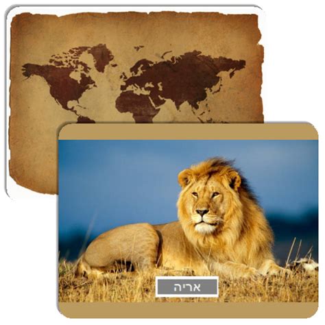 african animals - Match The Memory