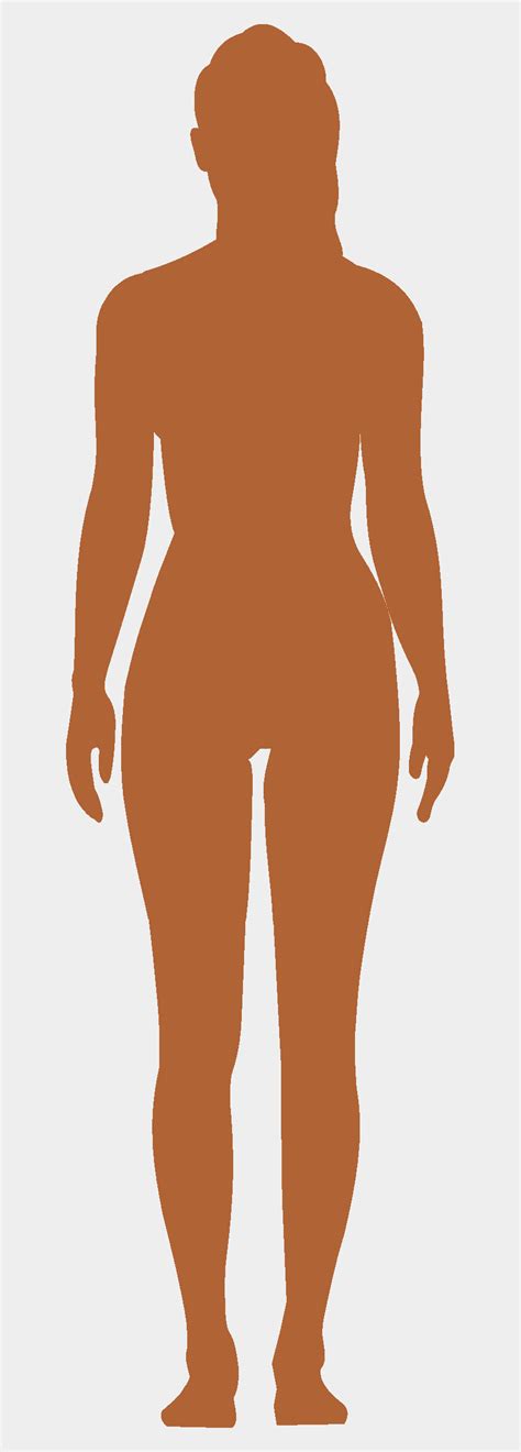 Find the perfect woman body outline stock photos and editorial news pictures from getty images. Human Body Outline Png - Female Human Body Png, Cliparts ...