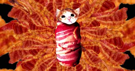There are a lot of different things you can do to entice a finicky eater. Cat Steals Man's Bacon, Man Calls 911 to Press Charges ...