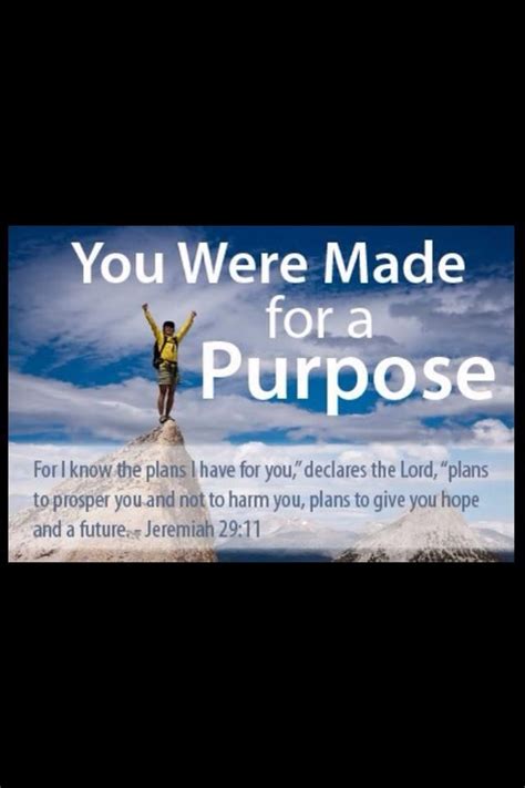 Purpose Driven Life Purpose Driven Life Bible Study