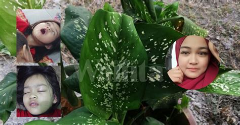 Zat ini banyak digunakan dalam bahan konstruksi. Kejang Bibir, Air Liur Menitik Tanpa Henti Gara-Gara Pokok ...