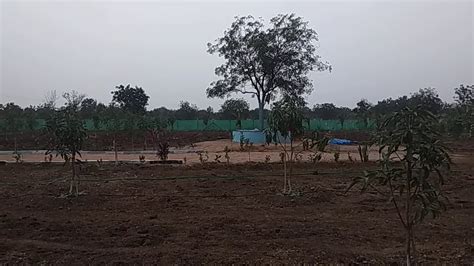 FOR SALE .MY FARM HOUSE @MOINABAD, TOLKATTA 