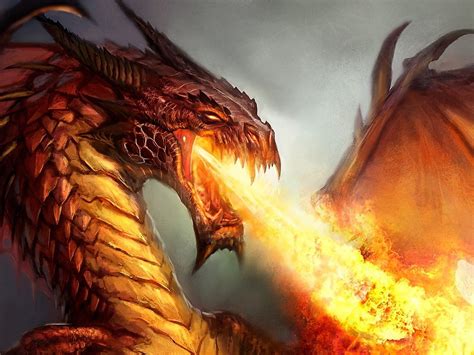 Fire Spitting Dragon 1920x1080 : Wallpapers13.com