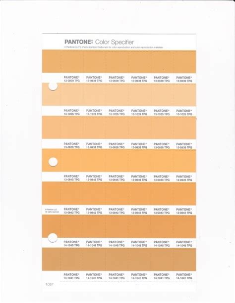 PANTONE TPG Amber Replacement Page Fashion Home Interiors Design Info