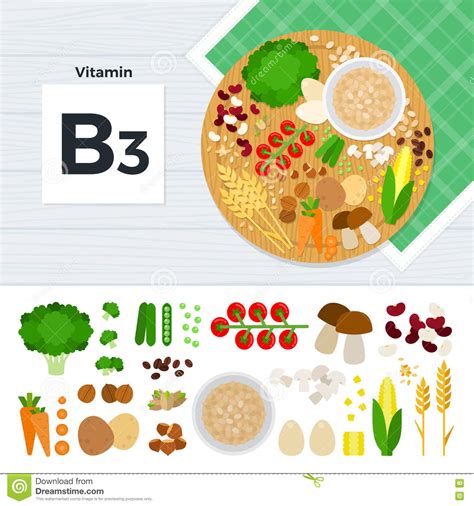 Alimenti che contengono niacina (vitamina b3 o pp) elenco degli alimenti che contengono niacina (vitamina b3 o pp), dal più ricco al meno ricco. Productos Con La Vitamina B3 Ilustración del Vector ...