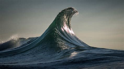 The Infinite Now The Cinemagraphs Of Ray Collins Robinson Crusoe