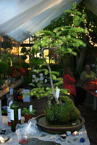 We learn about an event to help you learn more. Pomarius Nursery, Portland OR | Garden bloggers, Garden ...