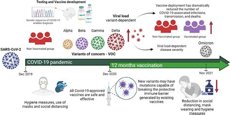 Frontiers Viral Load In COVID Patients Implications For Prognosis And Vaccine Efficacy In