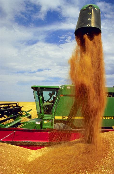 Farm Free Stock Photo A Combine Dumping A Harvested Load Of Wheat