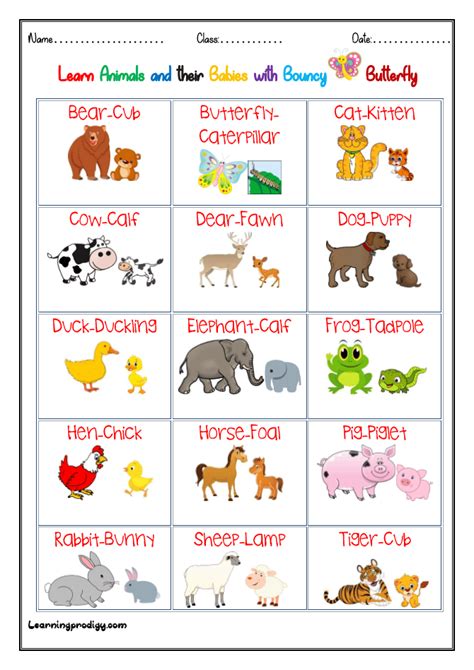 Animals And Babies Young Ones Chart With Pictures Learningprodigy
