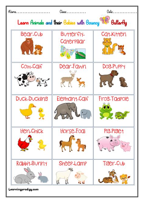 Animals and Babies| Young Ones Chart with Pictures - LearningProdigy