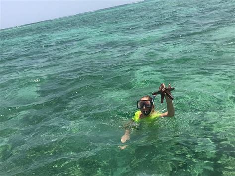 Mombasa Marine National Park 2018 All You Need To Know Before You Go